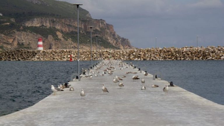 Nova ponte-cais inaugurada em Sesimbra