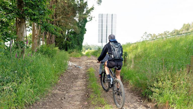 Matosinhos vai ter uma rede de caminhos rurais