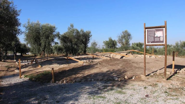 Programa Cultura no Dão promove cinema drive in, concertos e a descoberta dos trilhos pré-históricos do pastoreio