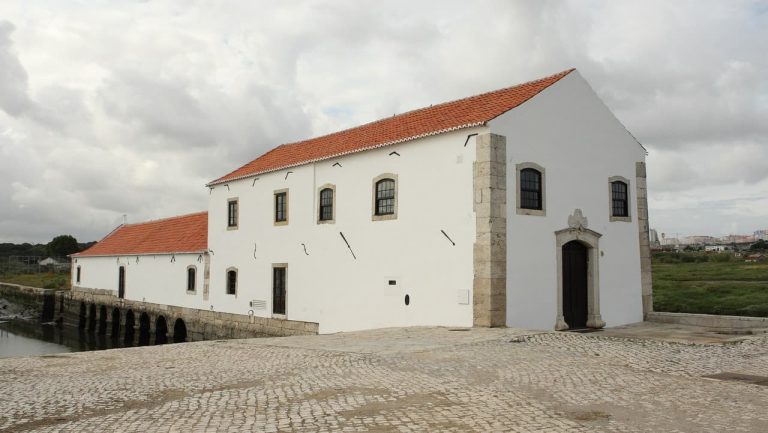 Dois programas para desfrutar ao ar livre no Seixal