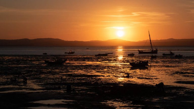 Duas sugestões de programas para usufruir em Alcochete