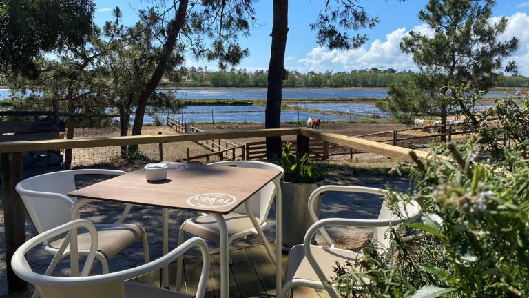 Bar na Areia. O novo spot da Comporta junta cavalos e cerveja
