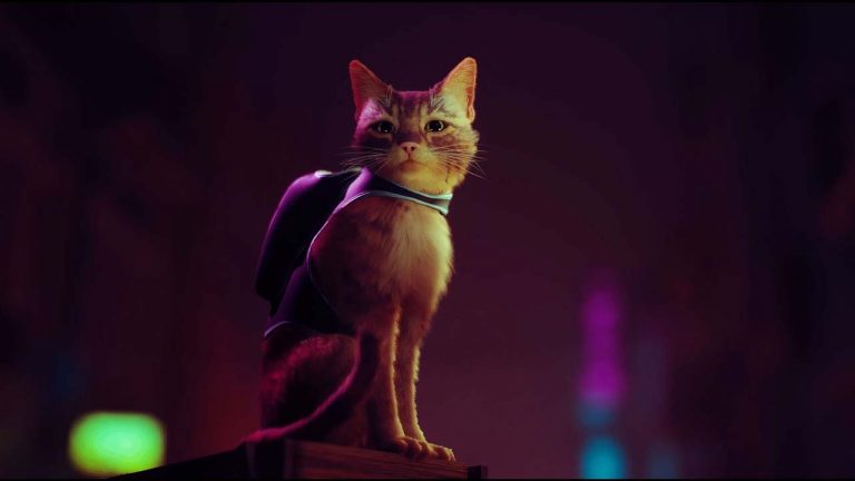 Stray (Annapurna Interactive)