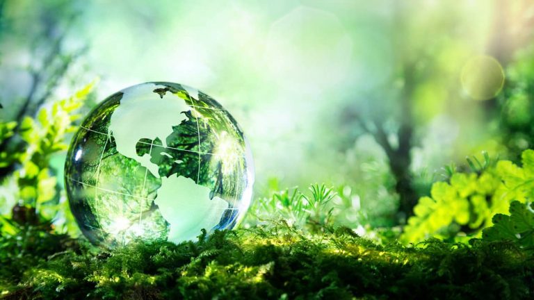 Dicas para reduzir a pegada ambiental