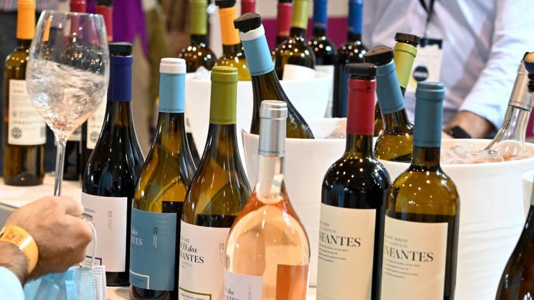 Grandes Escolhas – Vinhos & Sabores – O reencontro com os grandes eventos