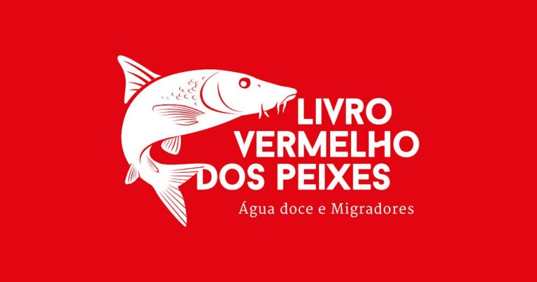 30 anos depois, Portugal vai ter um novo Livro Vermelho dos Peixes Marinhos