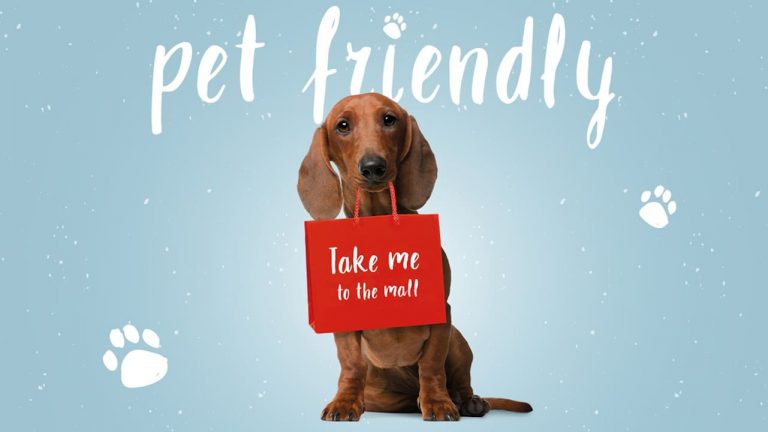 LoureShopping vai ser dog friendly em 2022