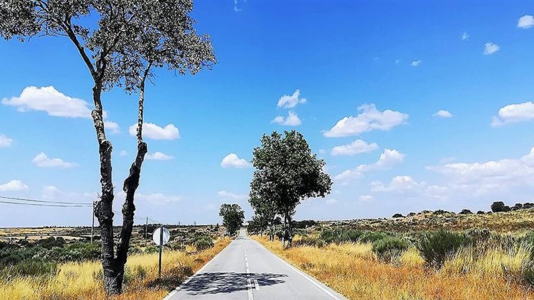 Troço da EN10 entre Marateca e Pegões será integralmente reabilitado