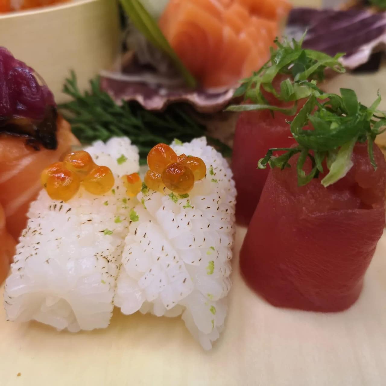 pecas sushi 2 addiction fusion