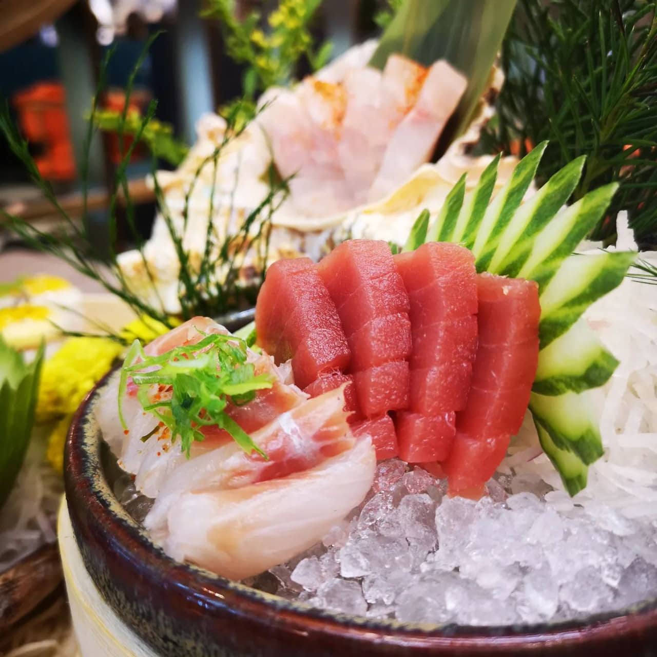 sashimi addiction fusion