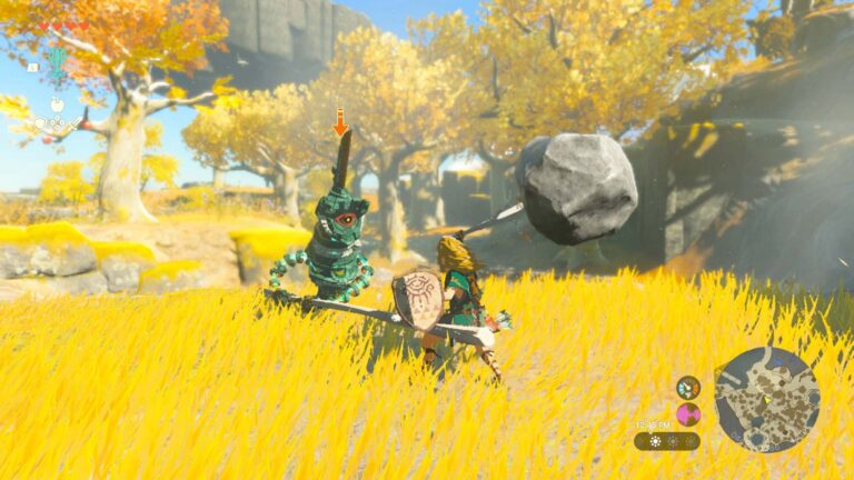 The Legend of Zelda: Tears of Kingdom