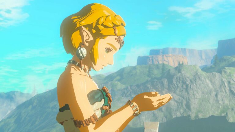 The Legend of Zelda: Tears of Kingdom ( Nintendo Switch)