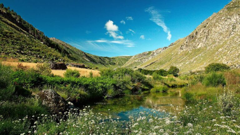 Água Serra da Estrela promove plantação de milhares de árvores no concelho de Gouveia