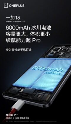 Bateria do OnePlus 13