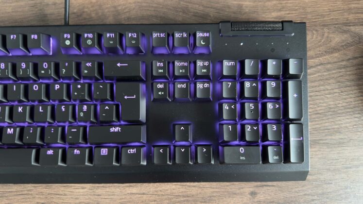 Razer BlackWidow V4 X 