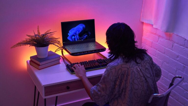 Windows 11 (Microsoft)