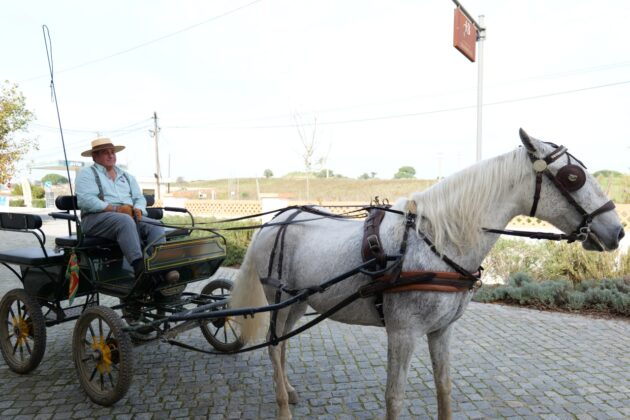 Herdade da Barrosinha