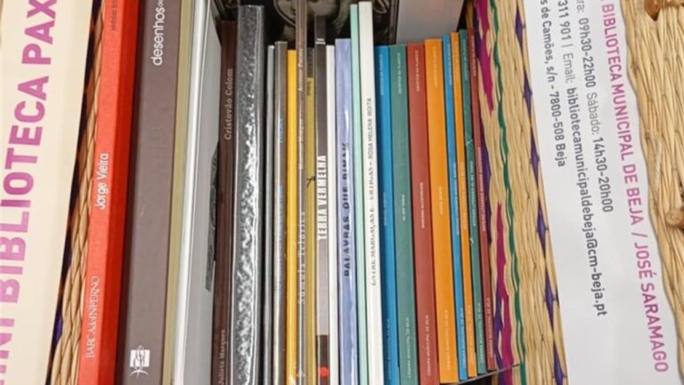 Governo prepara criação de mais de 400 bibliotecas no 1.º ciclo em 2026