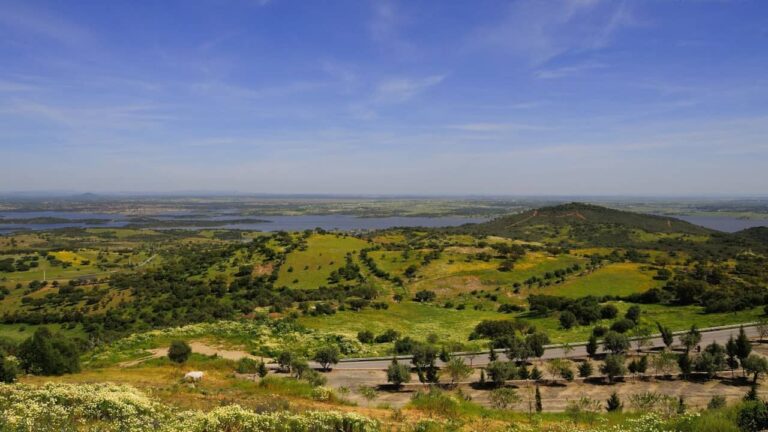 Governo segura preço da água no Alqueva e alarga margem para a agricultura