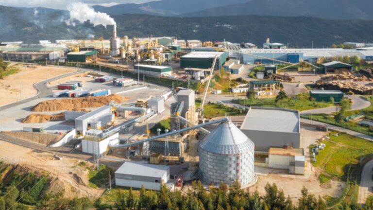 Governo autoriza abate de 508 sobreiros em Oliveira do Hospital para unidade solar da Sonae Arauco