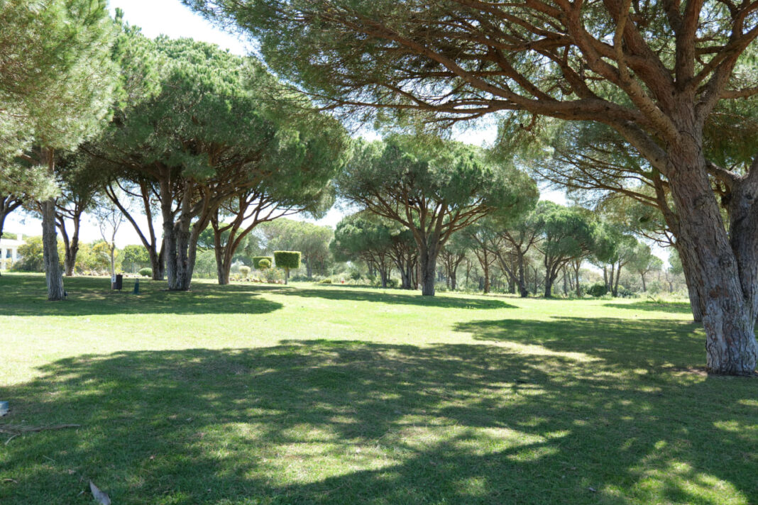 AP Adriana Beach Resort