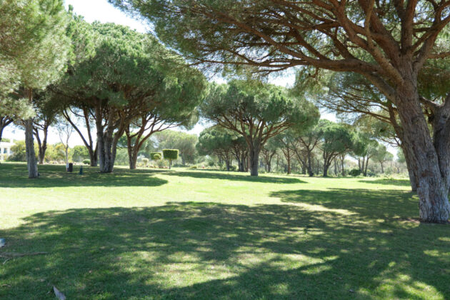 AP Adriana Beach Resort