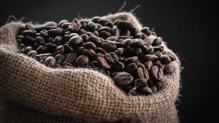 O regresso à autenticidade no café: o sucesso da Delta Cafés em grão