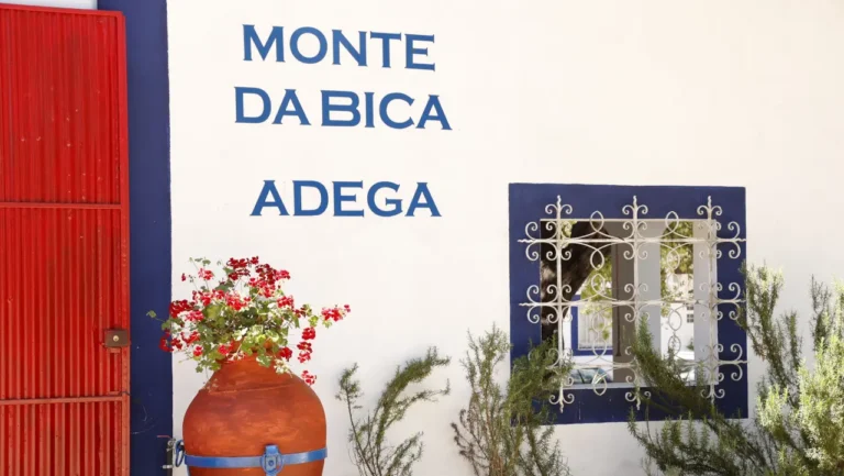 Monte da Bica anuncia investimento de 1,5 milhões de euros em boutique hotel, lagares e sala de provas