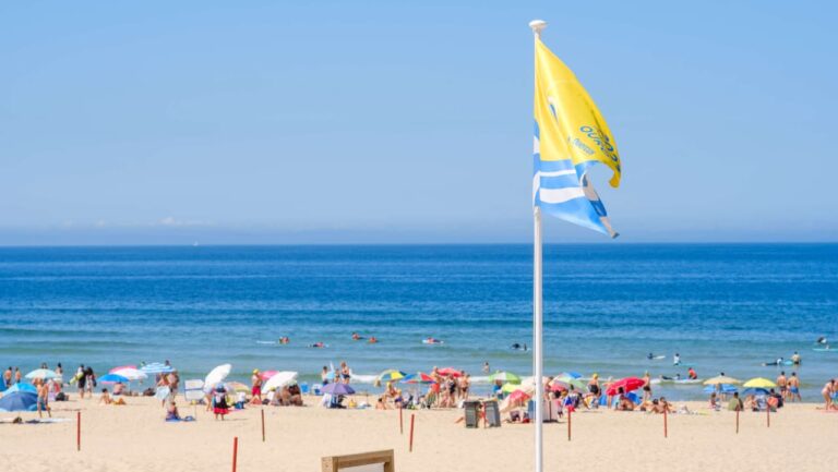 Praias com Qualidade de Ouro 2025: Quercus distingue 425 zonas balneares em Portugal