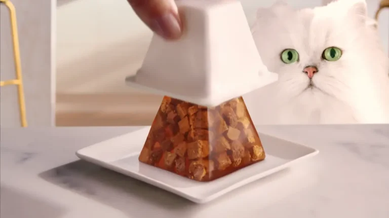 Purina apresenta gelatina inovadora para gatos com pedaços finos em embalagem piramidal