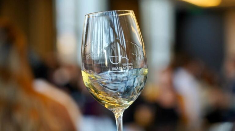 Trás-os-Montes em Prova regressa ao Porto com mais de 130 vinhos