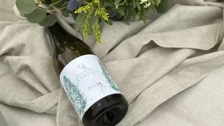 Quinta do Sampayo aposta na regeneração agrícola e lança novo vinho branco de 2024