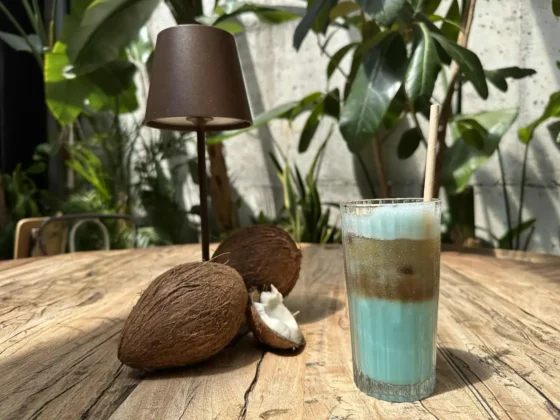 Alpro bebida coco