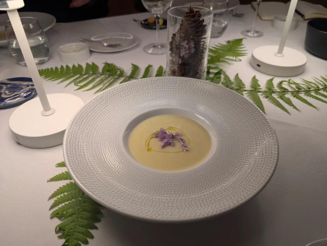 Casas da Lapa - Creme de courgette com flores comest&iacute;veis