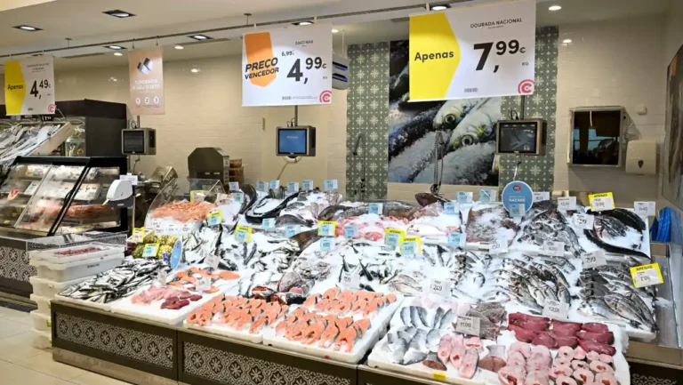 Depois do Auchan e Pingo Doce, Continente lança serviço de encomenda de peixe e marisco fresco