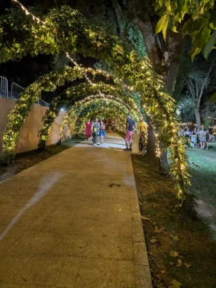 Feira do Alvarinho - Ambiente