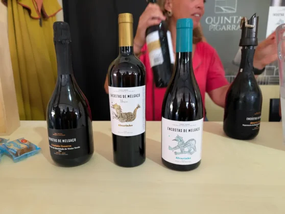 Feira do Alvarinho - vinhos