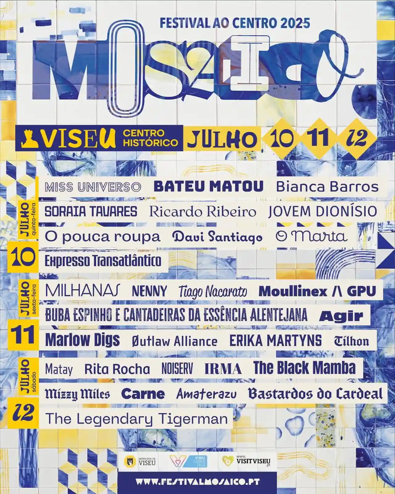 Festival MOSAICO Viseu - cartaz