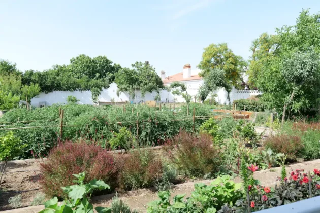 The Green House