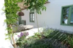 The Green House