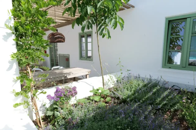 The Green House