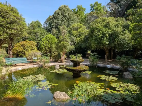 Palácio da Brejoeira - lago