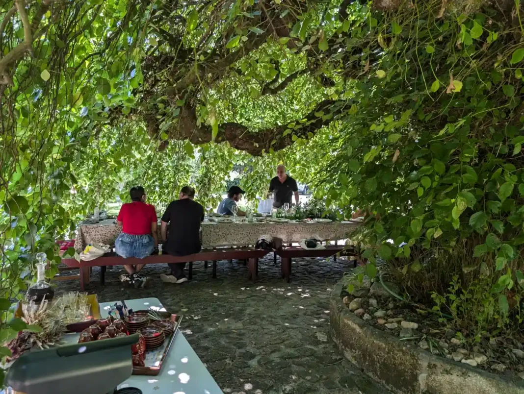 Quinta da Vila Nova - Ulmeiro