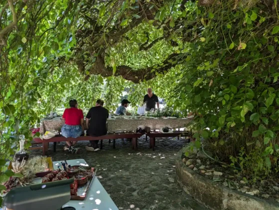 Quinta da Vila Nova - Ulmeiro