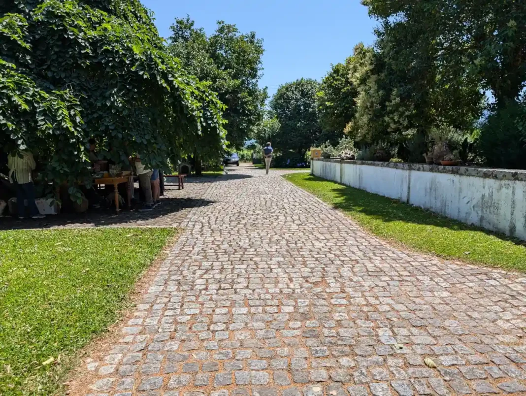 Quinta da Vila Nova - vista