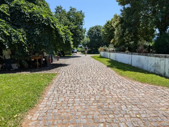 Quinta da Vila Nova - vista