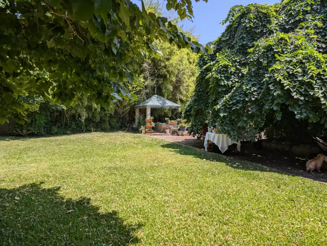 Quinta da Vila Nova - vista