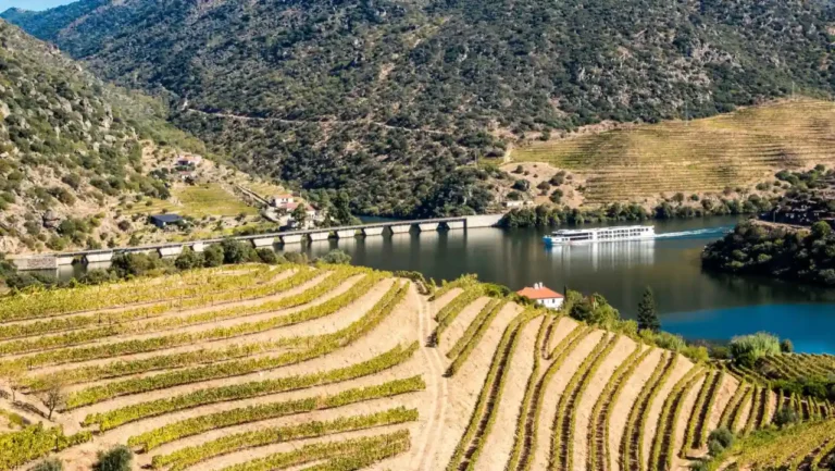 Vai avançar a reabilitação da EN222 em São João da Pesqueira