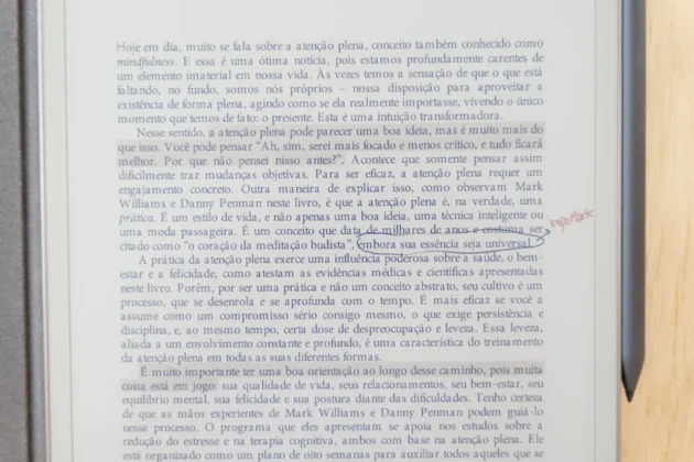 Remarkable Paper Pro - texto sublinhado