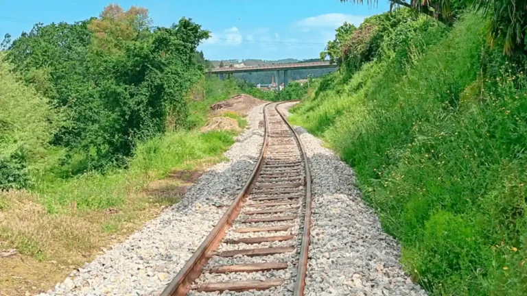 Linha do Vouga: Concluída reabilitação do troço entre Oliveira de Azeméis e Sernada do Vouga